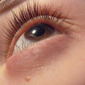 Meet your Posher, Trish